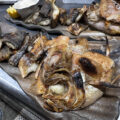 魚料理福山